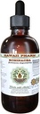 Echinacea Alcohol-Free Liquid Extract, Echinacea (Echinacea Angustifolia) Dried Root Glycerite Hawaii Pharm Natural Herbal Supplement 2 oz