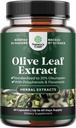 Potent Olive Leaf Extract Capsules - High Strength Antioxidant Supplement with Pure Olive Leaf with 20% Oleuropein - Herbal Heart Health Supplement - Vegan Non-GMO & Gluten Free (2 Month Supply)