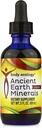 Body Ecology Ancient Earth Liquid Minerals | 100% Plant-Derived Trace Mineral Liquid Supplement | Fast-Absorbing Electrolyte Solution for Immune Support | 60 Servings (2 fl oz)