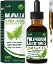 Polypodium leucotomos (Kalawalla Root) Immune Support Drops, Natural Kalawalla Herb Extract Immunity Boost Supplement for Improves Skin Health. Calaguala para Proteger la Piel. 2oz