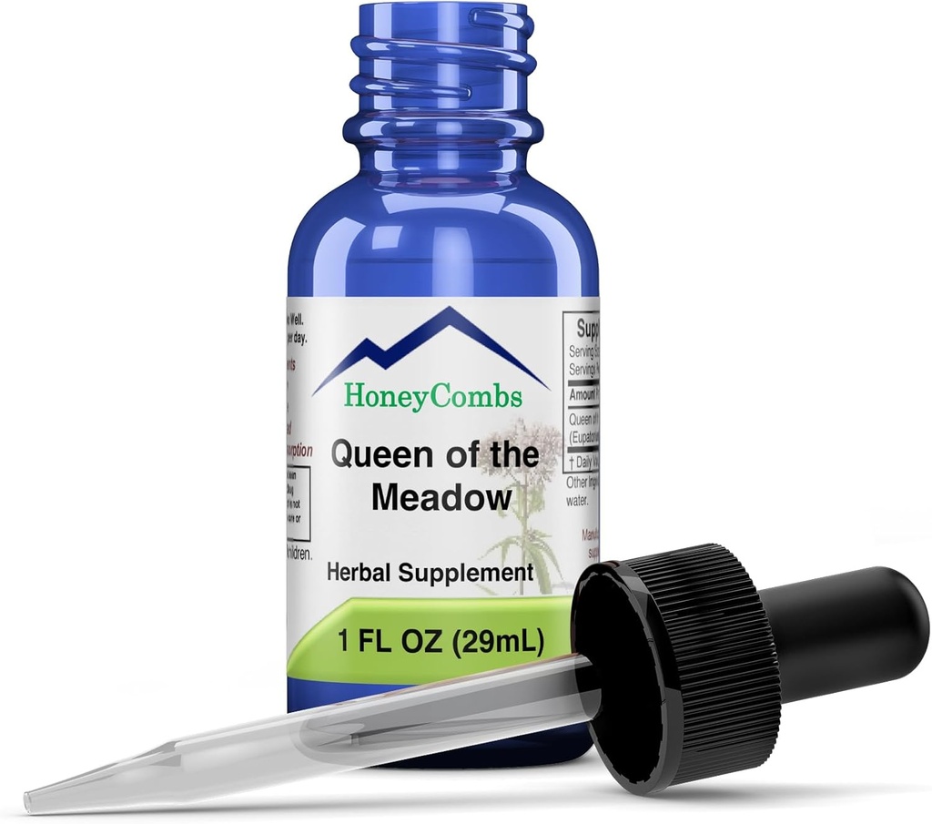 HoneyCombs Queen of The Meadow (Meadowsweet) – Herbal Supplement for Immune System, Urinary Tract and Kidney Support – Alcohol-Free, Cold Pressed Meadowsweet Liquid Extract, 1 Fl Oz