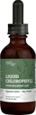 Liquid Chlorophyll, Liquid Drops for Immune System Support, Natural Internal Deodorant - Vegan Chlorophyll Drops with Organic Glycerin - Clorofila Liquida, Chlorophyllin Detox Cleanse (1 mL)