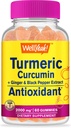 WellYeah Turmeric Curcumin Gummies with Black Pepper - Antioxidant and Digestive Support - Skin Health, and Immune Function - Vegan, Non-GMO - 60 Count