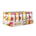 MITRA-9 Botanical Beverages - Kava Drink Flavor Variety Pack With Kava Root Extract - Mood Enhancer - Plant Based - Promotes Natural Calm & Clarity (12 Fl. Oz) (24)