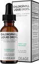 Codeage Chlorophyll Liquid Drops Supplement - Vegan Chlorophyll 50 mg per Serving, Organic Peppermint Flavor Clorofila Drink - Non-GMO, Gluten-Free, Vegan - 2 fl oz