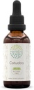 Catuaba B60 Alcohol-Free Herbal Extract Tincture, Super-Concentrated Wildcrafted Catuaba (Trichilia catigua, Erythroxylum vacciniifolium) 2 fl oz