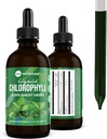 360 Nutrition Chlorophyll Liquid Drops with Peppermint Oil, GF & Vegan Body Internal Deodorant Supplement, Supports Gut Health, Digestion, Energy, Radiant Skin, Fast Absorption (4 Fl Oz (1 Count))
