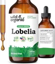 Wild & Organic Lobelia Tincture - Lung Detox and Cleanse - Liquid Lobelia Herb Supplement - Vegan, Sugar & Alcohol-Free Leaf Extract Drops - 4 fl oz