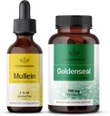 HERBAMAMA Mullein Leaf Extract and Goldenseal Capsules Kit - Bundle of Mullein Leaf Tincture 2 fl oz and 700 mg Goldenseal Root Capsules - Vegan, Non-GMO, Sugar & Alcohol-Free - 2 Pack