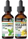 BIO KRAUTER Chlorophyll Tincture 2 Fl. Oz. & Mullein Tincture 2 Fl. Oz.