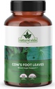 Pata de Vaca - Cow's Foot Leaves - 100 Veggie Capsules - 1,500mg Herbal Supplement Cows Foot
