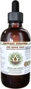 HawaiiPharm Jin Qian Cao Alcohol-Free Liquid Extract, Jin Qian Cao (Lysimachia Christinae) Dried Herb Glycerite Herbal Supplement 2 oz