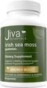 Jiva Botanicals - Irish Sea Moss Gummies with Bladderwrack & Burdock Root 3000mg - Immune System Support for Adults - 60 Count