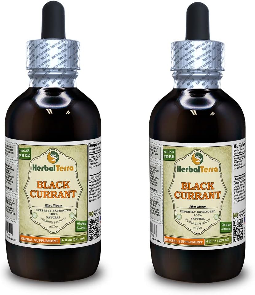 Black Currant (Ribes nigrum) Tincture, Dried Leaves Liquid Extract (Brand Name: HerbalTerra, Proudly Made in USA) 2x4 fl.oz (2x120 ml)