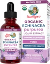 MaryRuth Organics Echinacea Purpurea Liquid | Sugar Free | USDA Organic | Echinacea Liquid Drops for Immune Support| Respiratory Health | Alcohol Free | Non-GMO | Vegan | 1 Fl Oz