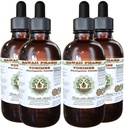 Hawaii Pharm Yohimbe Alcohol-Free Liquid Extract, Yohimbe Liquid (Pausinystalia Yohimbe) Dried Bark Glycerite Natural Herbal Supplement, USA 4x4 fl.oz