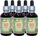 Kava Kava (Piper Methysticum) Glycerite, Dried Root Alcohol-Free Liquid Extract (Brand Name: HerbalTerra, Proudly Made in USA) 5x2 fl.oz (5x60 ml)