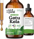 Wild & Organic Gotu Kola Extract Drops - Brain Support with Centella Asiatica Extract - Liquid Gotu Kola Supplement for Focus - Vegan, Sugar & Alcohol-Free Herb Tincture - 4 fl oz
