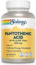 SOLARAY Pantothenic Acid 500mg - Pantothenic Acid Supplement (Vitamin B5) - Essential B Complex Vitamin - Nervous System and Cellular Energy Support - Vegan, Gluten Free, 60-Day Guaratee, 100 Servings