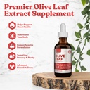Rejuvica Active Olive Leaf Extract | Naturally Occurring Oleuropein Liquid Drops for Immune & Heart Support | Fast-Absorption, Vegan, Alcohol-Free | 2 fl oz