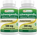 Best Naturals Ashwagandha Extract 500 Mg 120 Capsules (Pack of 2)