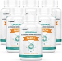 Orgabay Liposomal NAD+ Supplement 500 mg, High Absorption, Boost NAD+ with TMG 250 mg, Actual NAD Plus More Efficient Than Nicotinamide Riboside, Support Cellular Energy, Healthy Aging | 360 Softgels