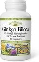 HerbalFactors by Natural Factors, Ginkgo Biloba, Supports Memory, Mental Performance and Healthy Brain Function, 60 capsules (60 servings)