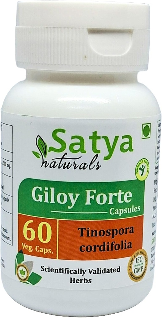 Giloy Forte Capsules 500 mg. 60 Veg. Capsule | Guduchi (Tinospora Cordifolia) Extract Capsules for Men and Women | Indian Ayurvedic Herbal Supplement/Remedies (1 Bottle of 60 Capsules)