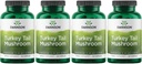 Swanson Turkey Tail Mushroom - Herbal Supplement Promoting Immune System & Cellular Health - Natural Formula Promoting Liver Function & Defense - (120 Capsules, 500 mg) 4 Pack