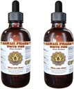White Pine Liquid Extract, White Pine (Pinus Strobus) Bark Powder Tincture, Herbal Supplement, Hawaii Pharm, Made in USA, 2x4 fl.oz