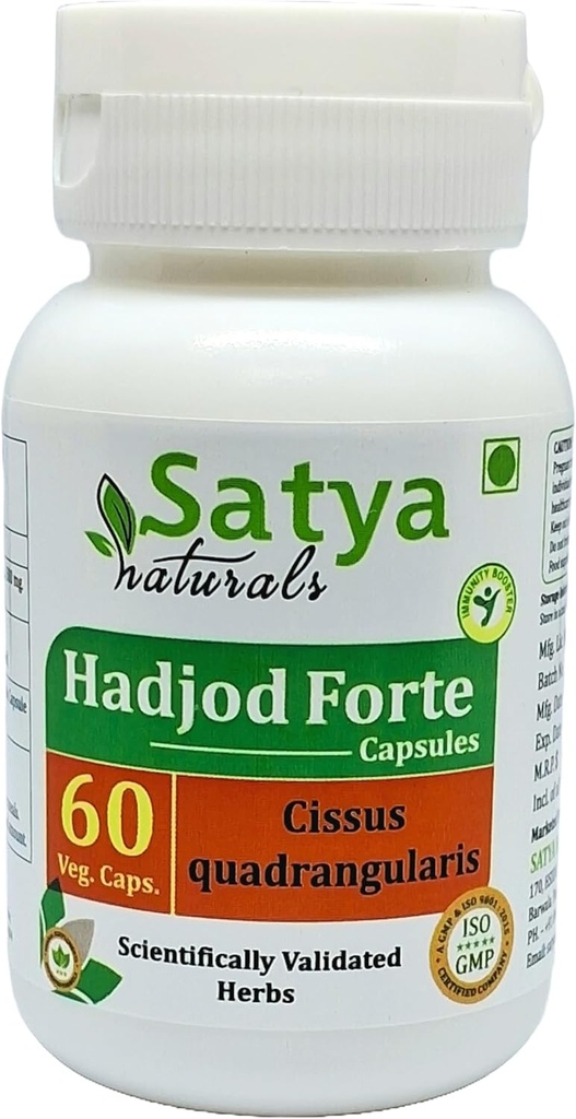 Hadjod Forte Capsules 500 mg. 60 Veg. Capsule | Hadjod (Cissus Quadrangularis) Extract Capsules for Men and Women | Ayurvedic Herbal Supplement/Remedies | 10:1 Forte (1 Bottle of 60 Capsules)