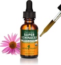 Herb Pharm Certified Organic Super Echinacea Liquid Extract for Active Immune System Support - 1 Ounce (DSUPER01)