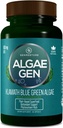 Genrestore: Natural AFA Stem Cell Celulas Madres Klamath Blue - Green Algae More Effective Than Spirulina or Chlorella Phytonutrient- Rich, Superfood 600mg Aphanizomenon Flos-Aquae (1)