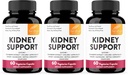 Sandhu's Kidney Cleanse Detox & Repair Support Supplement for Men and Women | with Cranberry Extract | Helps Support Kidney & Urinary Tract Health | 60 Vegetarian Capsules (Pack of 3)