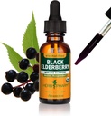 Herb Pharm Certified Organic Black Elderberry Liquid Extract for Immune System Support, Alcohol-Free Glycerite, 1 Ounce