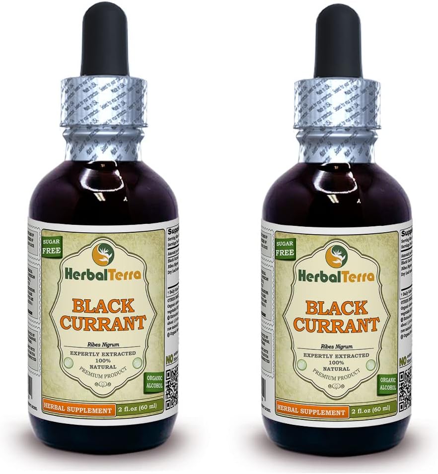 Black Currant (Ribes nigrum) Tincture, Dried Leaves Liquid Extract (Brand Name: HerbalTerra, Proudly Made in USA) 2x2 fl.oz (2x60 ml)