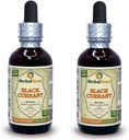 Black Currant (Ribes nigrum) Tincture, Dried Leaves Liquid Extract (Brand Name: HerbalTerra, Proudly Made in USA) 2x2 fl.oz (2x60 ml)