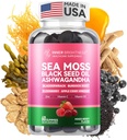 Sea Moss 4000mg Gummies with Ashwagandha, Elderberry, Apple Cider Vinegar, Bladderwrack, Burdock Root – Immune Support – Mixed Berry Flavor – 60 Count