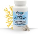 Elderwise Sea Moss Capsules - Sea Moss with Burdockroot & Bladderwrack - Superfood Supplement - 60 Vegan Capsules - 30 Day Supply - Dosage 2 a Day - 1400 mg