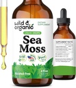 Wild & Organic Sea Moss Drops - Overall Support with Irish Seamoss and Bladderwrack - Multimineral Chondrus Crispus Tincture - Vegan, Sugar & Alcohol-Free Liquid Supplement - 4 fl oz