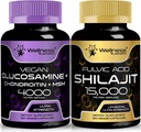 WELLNESS LABSRX Glucosamine Chondroitin MSM | Shilajit Capsules