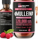 HERBIFY Mullein Drops - Lung Cleanse - Leaf Extract - Powerful Mullein for Immune Support, Detox & Respiratory Support - Made in USA - 4 Oz Raspberry Flavor