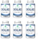 Best Earth Naturals Six Pack of Catalase 10,000 Formula Enzyme Supplement with Saw Palmetto, Biotin, Fo-Ti, PABA - Hair Supplements for Strong Hair - 360 Capsules (180-day Supply)