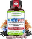 Power By Naturals Sea Moss Advanced with Black Seed Oil & Elderberry Capsules - Certified Organic Irish Sea Moss Capsules for Energy, Gut & Immune Support - Sea Moss Pills with (60+ Minerals) 60 Pills
