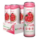 MITRA9 Botanical Beverages - Strawberry Watermelon Sparkling Kava Drink With Kava Root Extract - Mood Enhancer - Plant Based - Promotes Natural Calm & Clarity (12 Fl. Oz) (4)