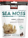 Force Factor Sea Moss Chews a Daily Wellness & Antioxidant Support a Salted Caramel (30 Soft Chews)