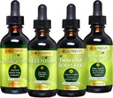 Go Nutrients Cold & Immune Bundle - Selenium, Vitamin D3/K2, Immune Booster, Liquid Chlorophyll – Powerful Support for Immune System, Strengthens Body Defense, Core and Vitality, Reinforce Respiratory