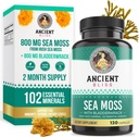 Ancient Bliss Organic Irish Sea Moss Pills - Dr Sebi Wildcrafted Seamoss Capsules | Thyroid, Healthy Skin & Gut Support | 120 Capsules