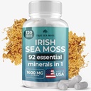 TrueSeaMoss Irish Sea Moss Capsules - 120 Original Capsules (1600mg) - Prebiotic Superfood - Boosts The Immune & Digestive System - Healthy Skin, Keto Detox, Gut, Joint Support