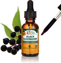 Herb Pharm Kids Certified-Organic Alcohol-Free Black Elderberry Glycerite Liquid Extract, 1 Ounce (GLKELD01)